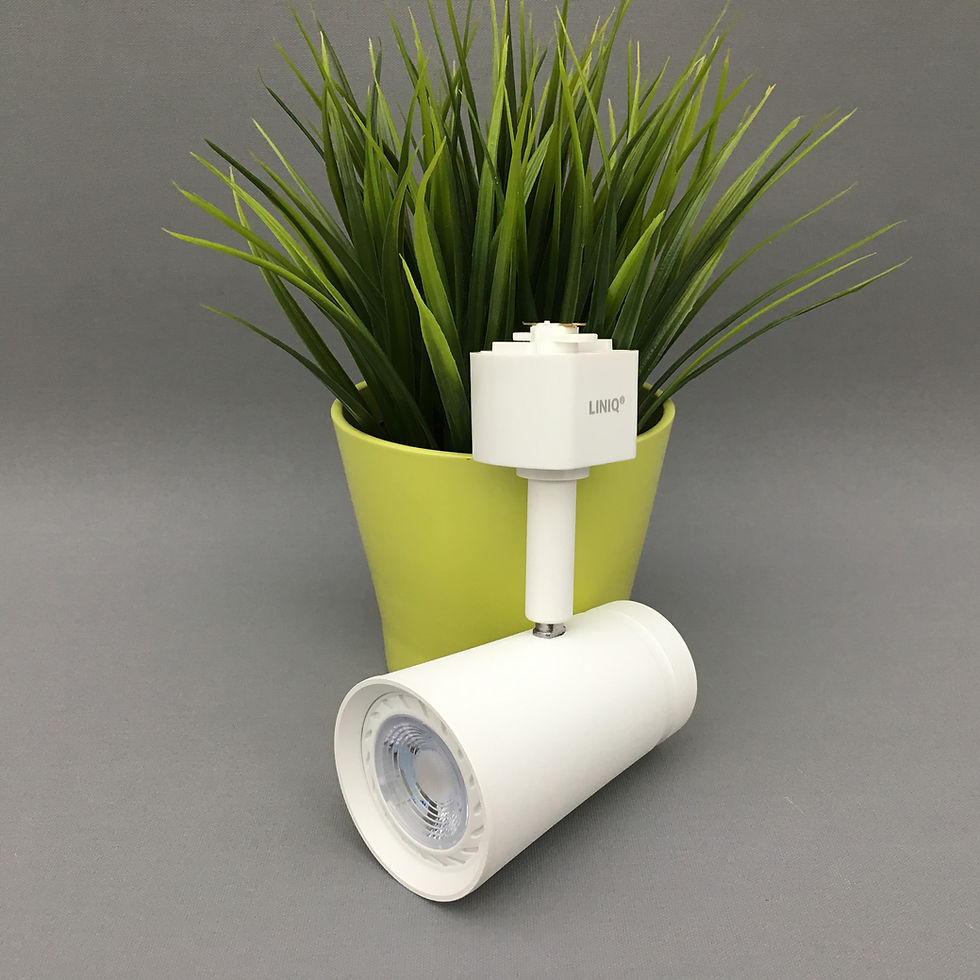 Track Light: TL-LQ9001-WH