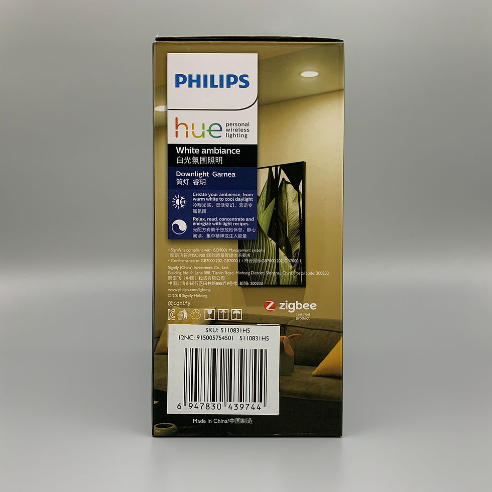 Thumbnail: HUE Downlight GARNEA 150 RD