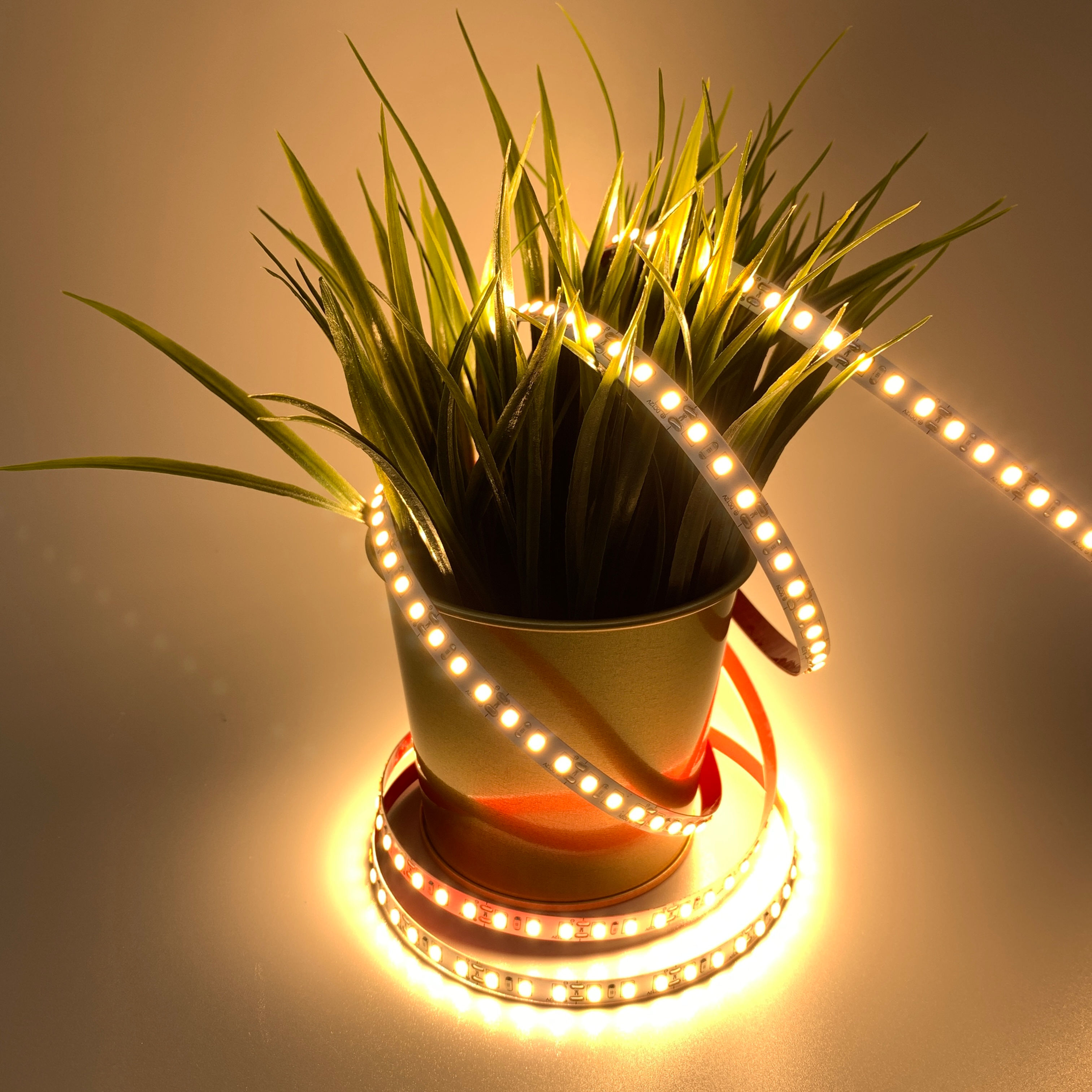 12V LED Strip 2835/120