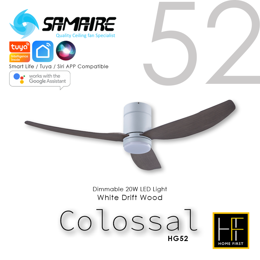 SAMAIRE Colossal 52" - Drift Wood