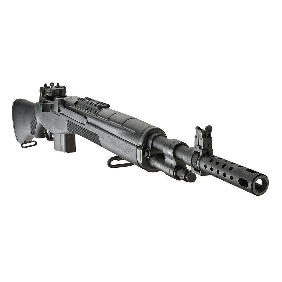 Thumbnail: SPRINGFIELD M1A SCOUT SQUAD