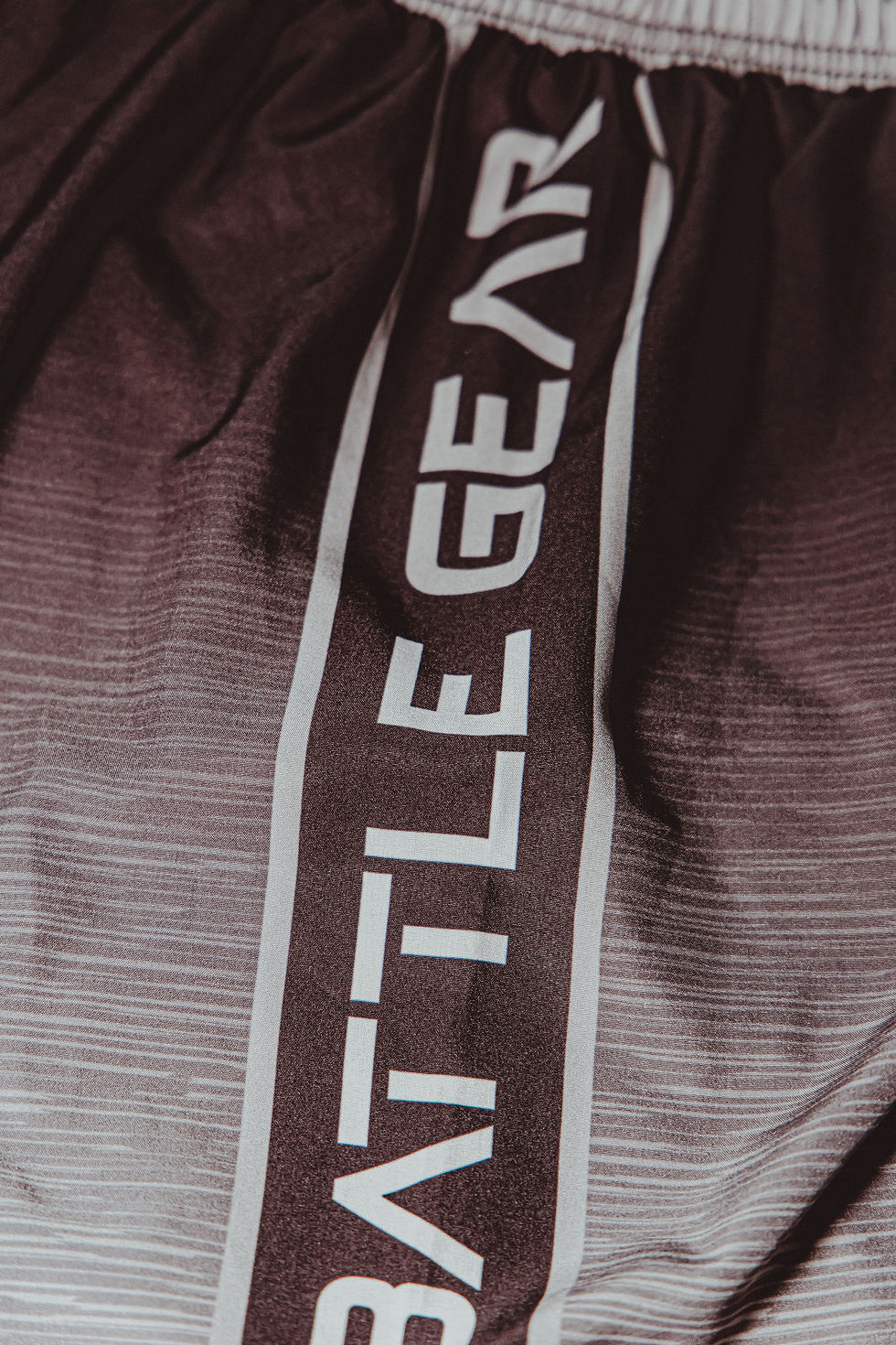 Thumbnail: Fight Shorts