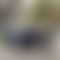 RMA CoL Corps Birthday – Tower Of London – Sunday, 26th October 2025