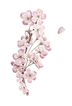 Flower.png