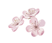 Flower.png