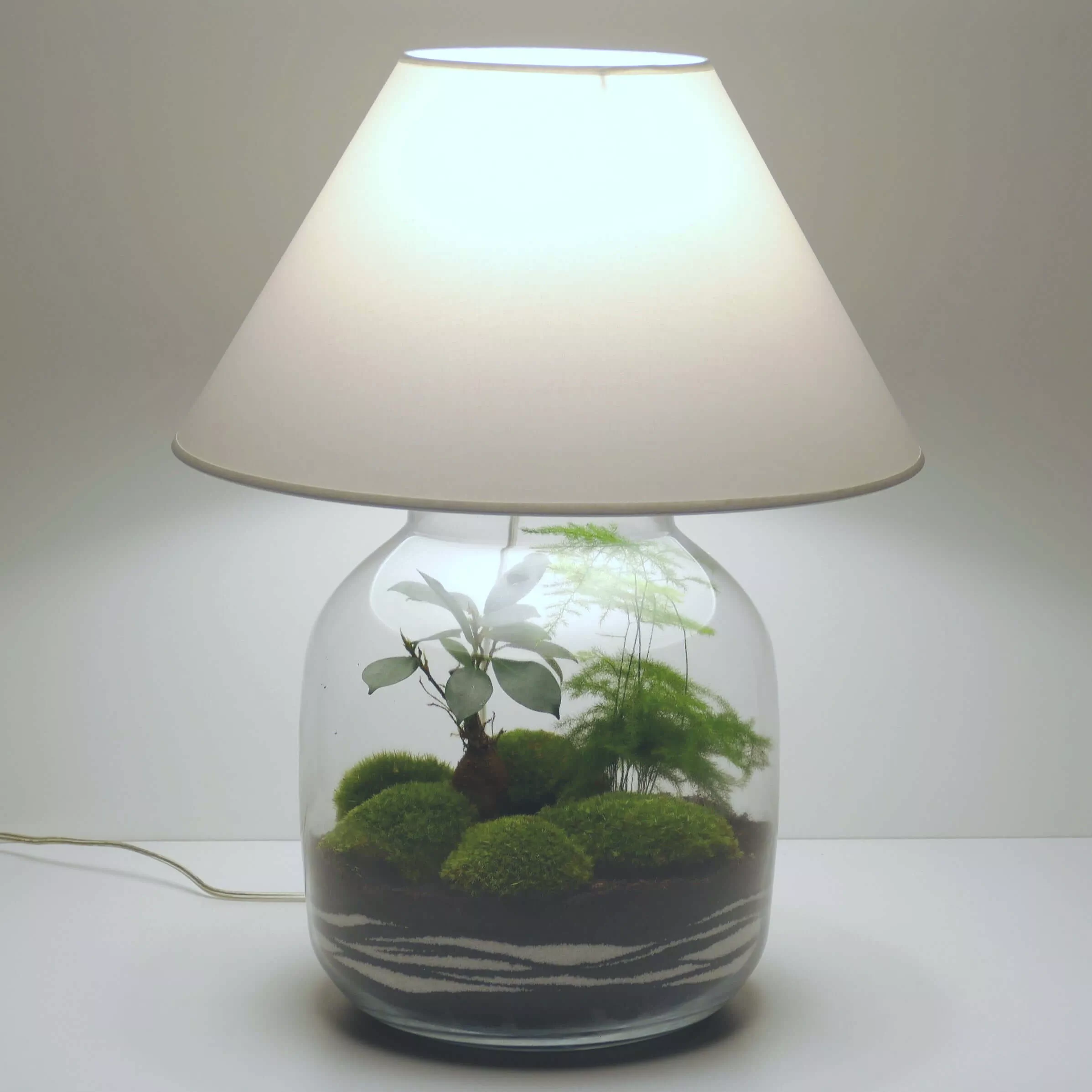 TERRARIUM VASE LAMP