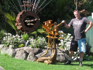 New Zealand Marlborough rock daisy, Pachystegia insignis