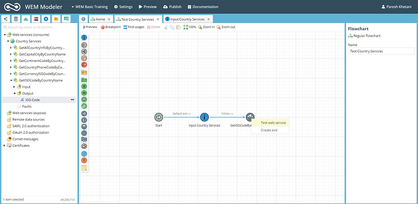 WBT24 Test Web Service Flowchart Connect Invoke Web Service.png