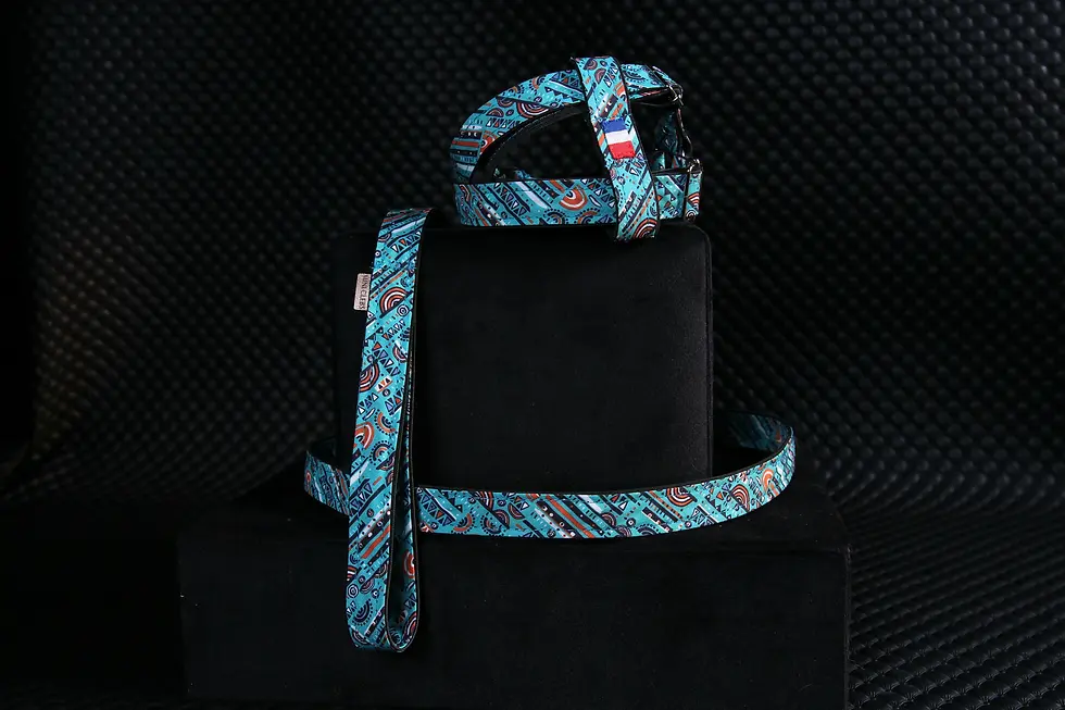 Miniature : HARNAIS/LAISSE - AZULERA - XS