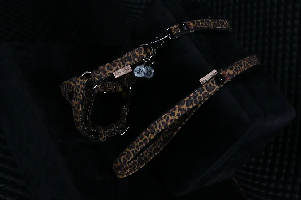 Miniature : HARNAIS/LAISSE - CARIOCA - XXS