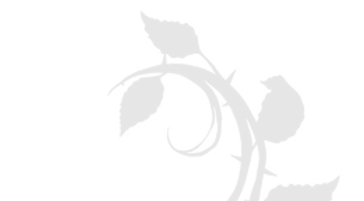 CODE BAR YARIELKA6_edited.png