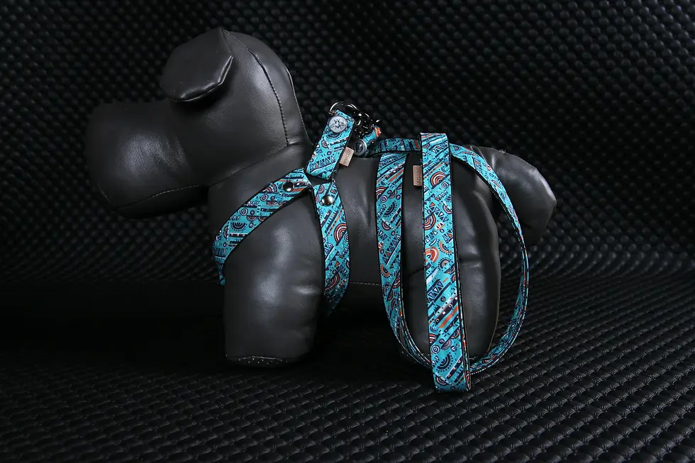 Miniature : HARNAIS/LAISSE - AZULERA - XS