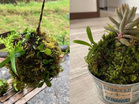 龍のおやどリトリートメニュー