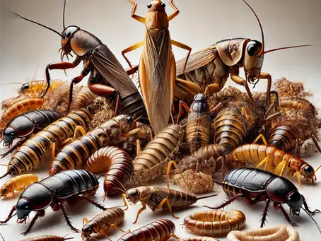 Top Feeder Insects for Bearded Dragons