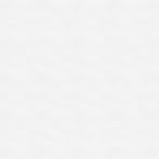 67_edited_edited.jpg