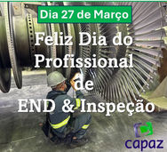 Profissional de END