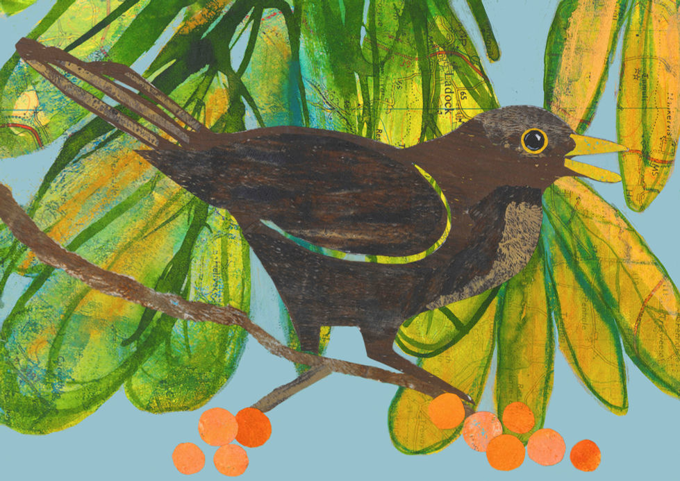 Mrs Blackbird