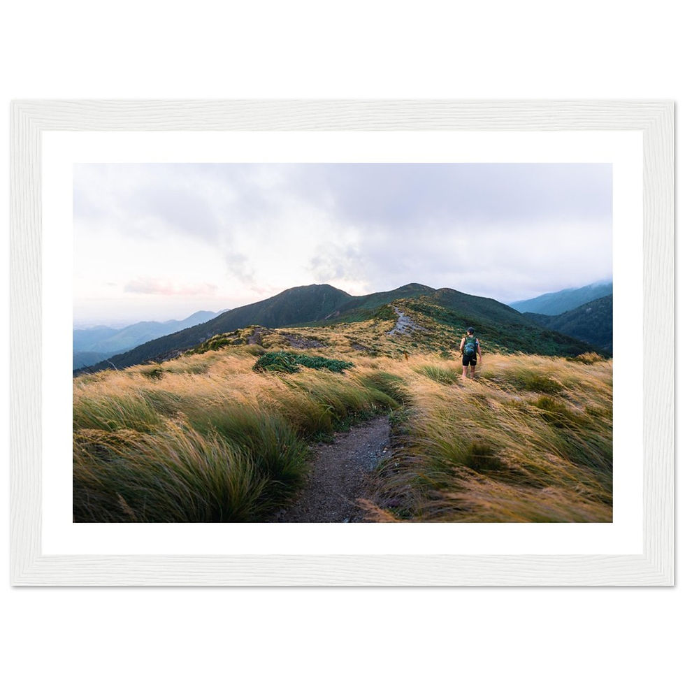 Thumbnail: Hiking in New Zealand mountains