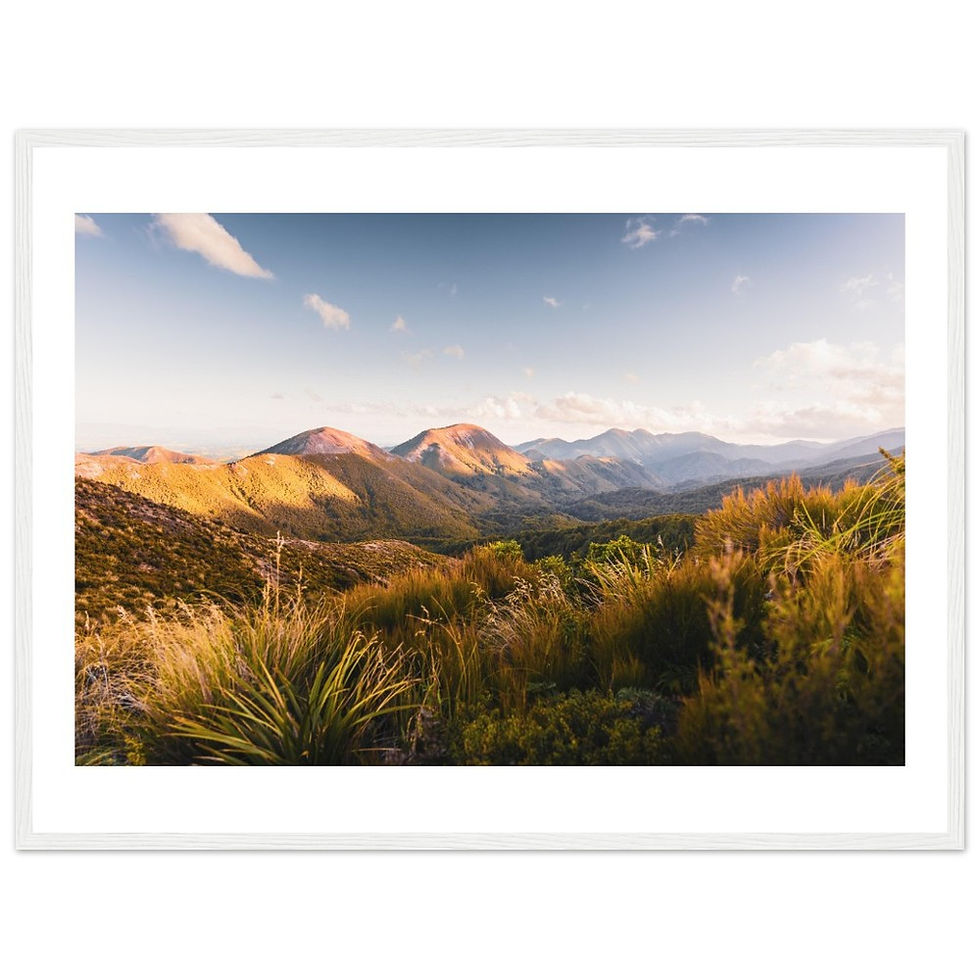 Thumbnail: Ruahine Forest, New Zealand (hori)