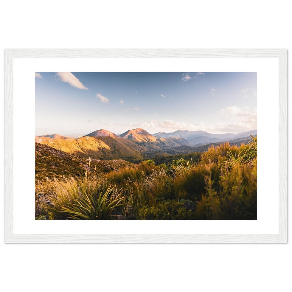 Thumbnail: Ruahine Forest, New Zealand (hori)