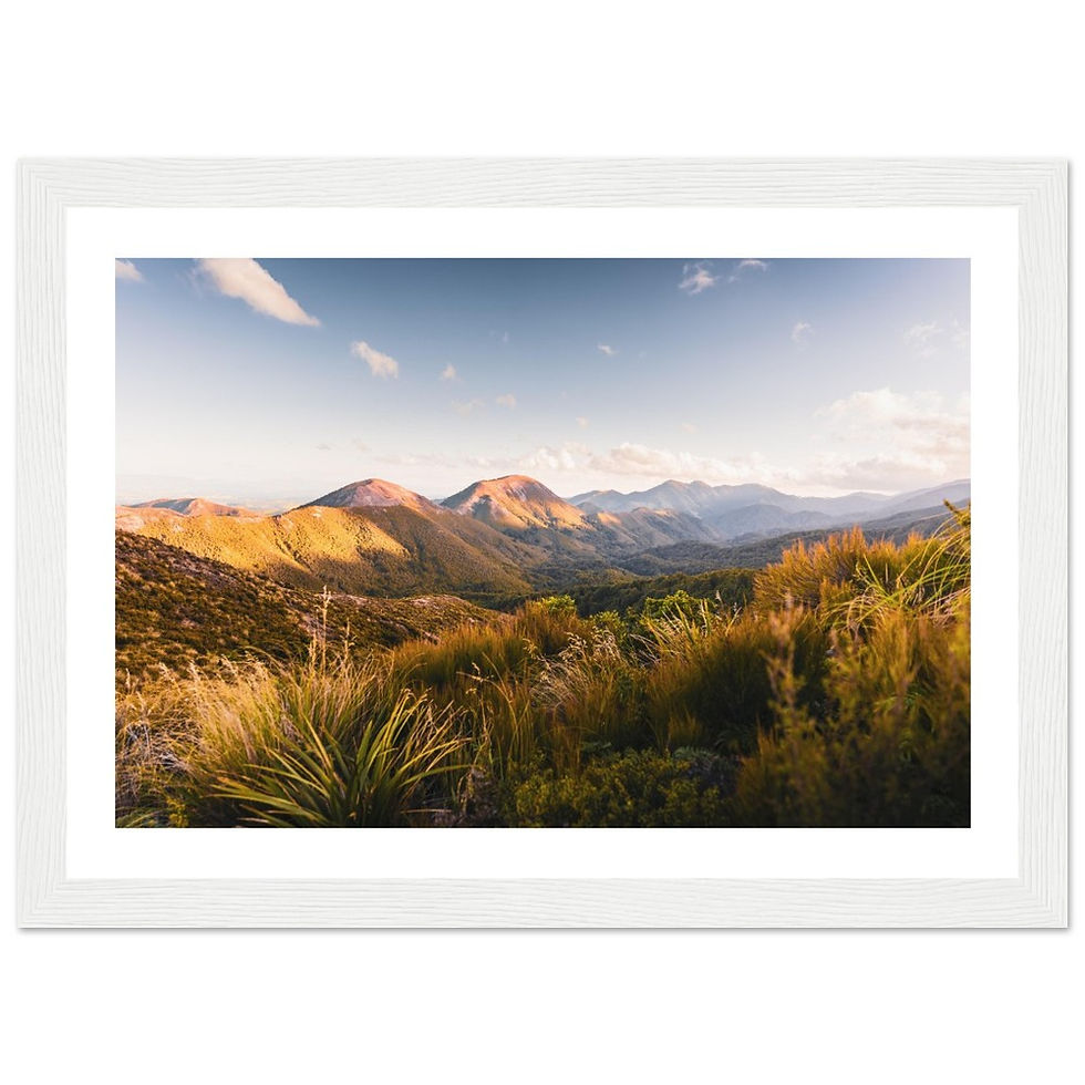 Thumbnail: Ruahine Forest, New Zealand (hori)