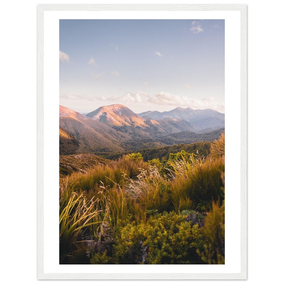 Thumbnail: Ruahine Forest, New Zealand (vert)