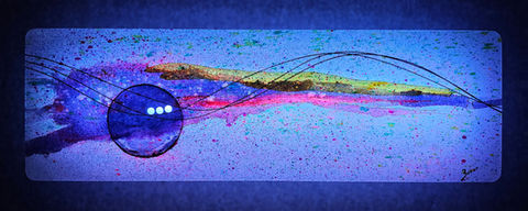Planetary 2 Blue