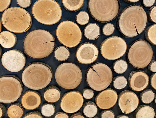 Photo Jun 04, 2 09 52 PM.jpg