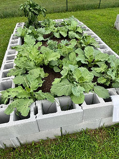 PERI-URBAN FARMING.jpg