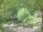 SPEELNATUUR