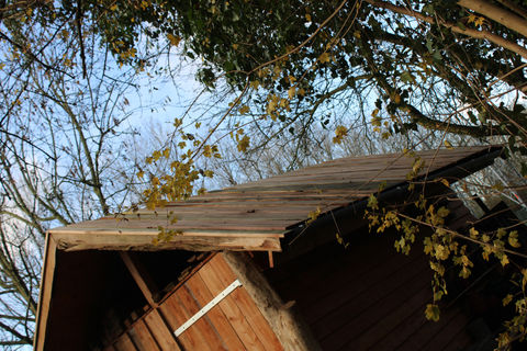 IMG_5273.JPG