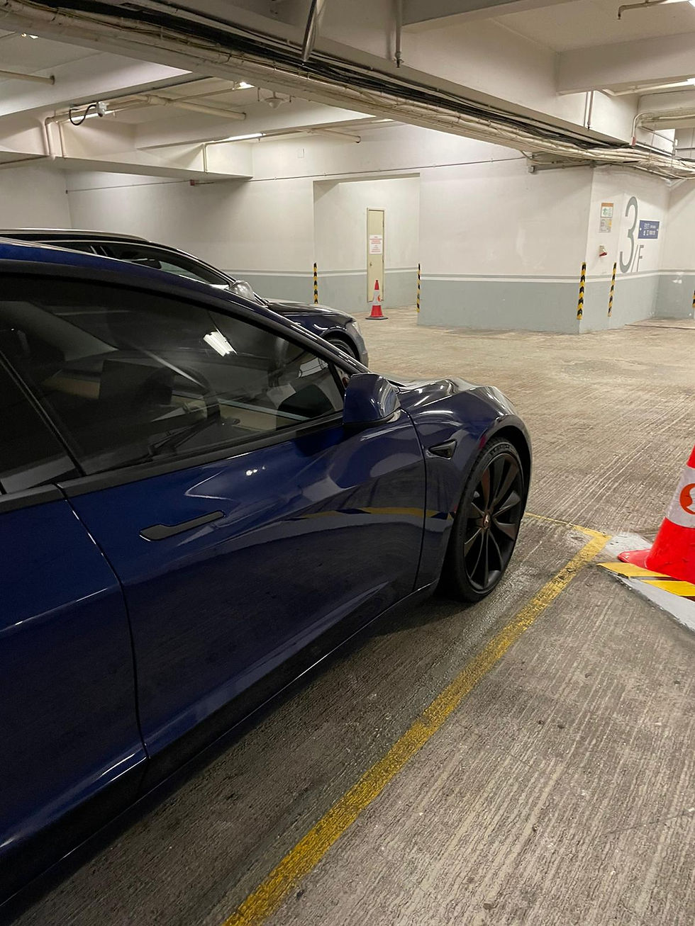 縮圖：2020 TESLA MODEL 3 PERFORMANCE