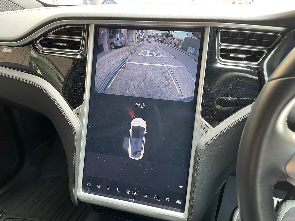 縮圖：2017 TESLA MODEL X P100D