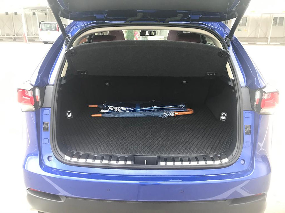 縮圖：2016 LEXUS NX200T