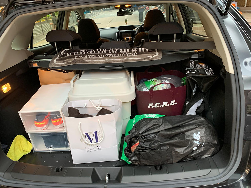 縮圖：2019 SUBARU XV