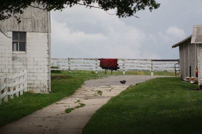 E-Sue Krall-D1-Country Life.jpg