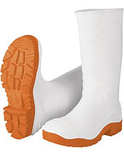 bota sanitaria