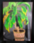 Minha Planta