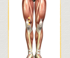 Master Tung's Points 88.09, 88.10, 88.11 - Passing Through the Kidneys