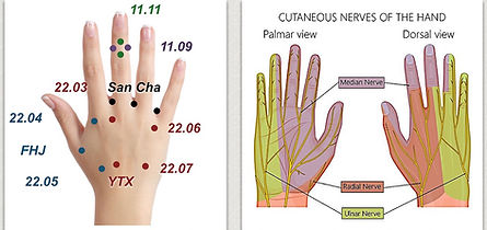 Tung's hand points for neck pain.jpg