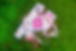 image1_edited.jpg