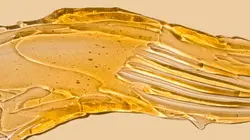 hard-wax-1296x728-header