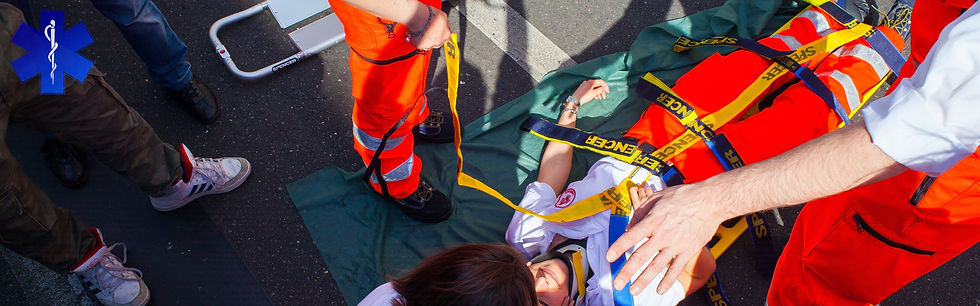 EMS Simulation