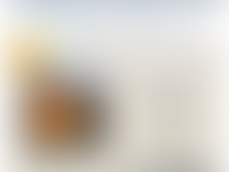 November 2024 Newsletters