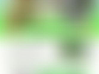  2026 7/30～8/2　自然生活体験キャンプ【募集開始】