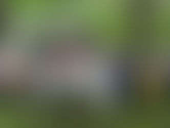 2025 8/8~11 自然生活体験キャンプを実施