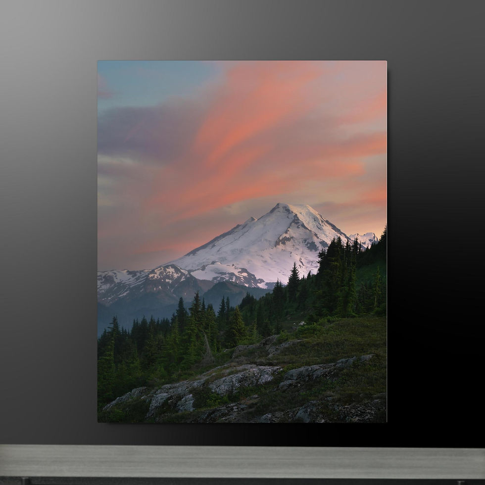 Thumbnail: Metal prints