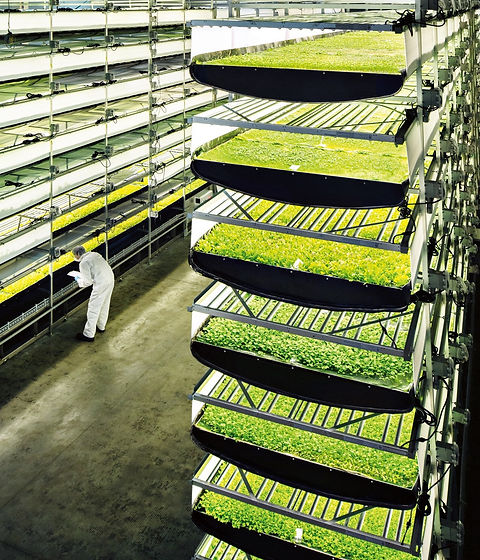 03-15-FTfuturefood2__11_1.jpeg