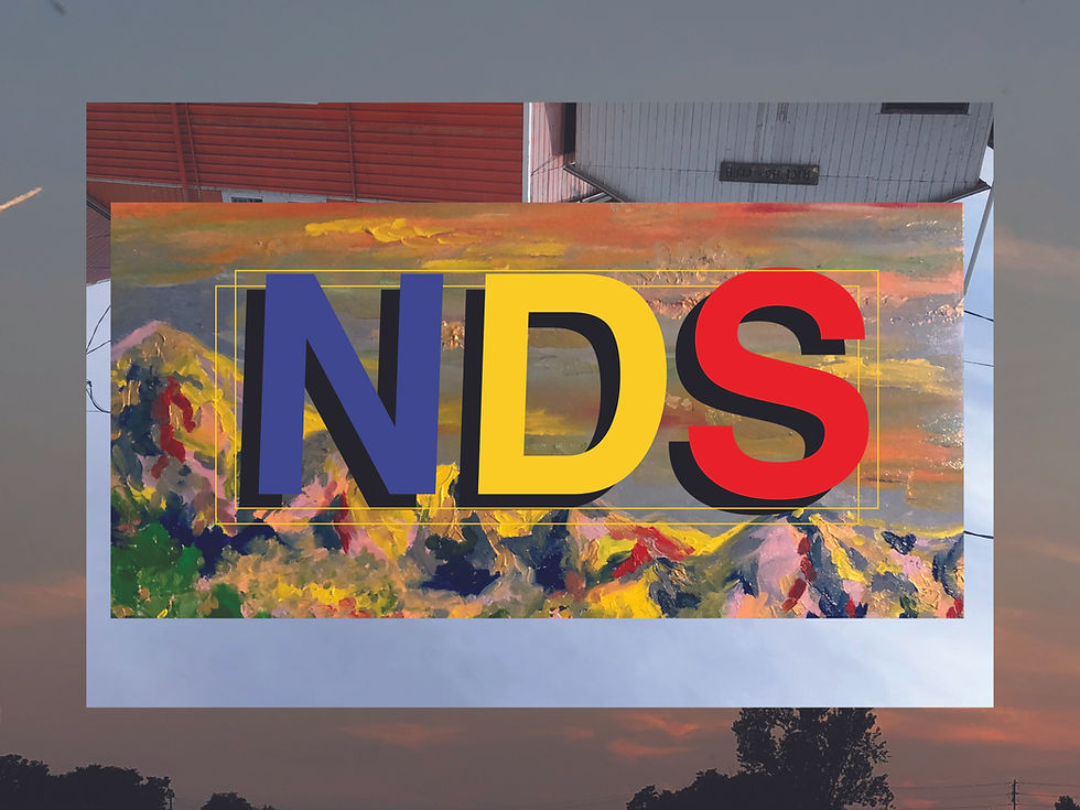 NDS10