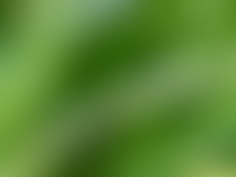 Blades of Grass
